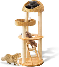 SHODMI 54" Modern Cat Tree Tower for Indoor Cats - DC999