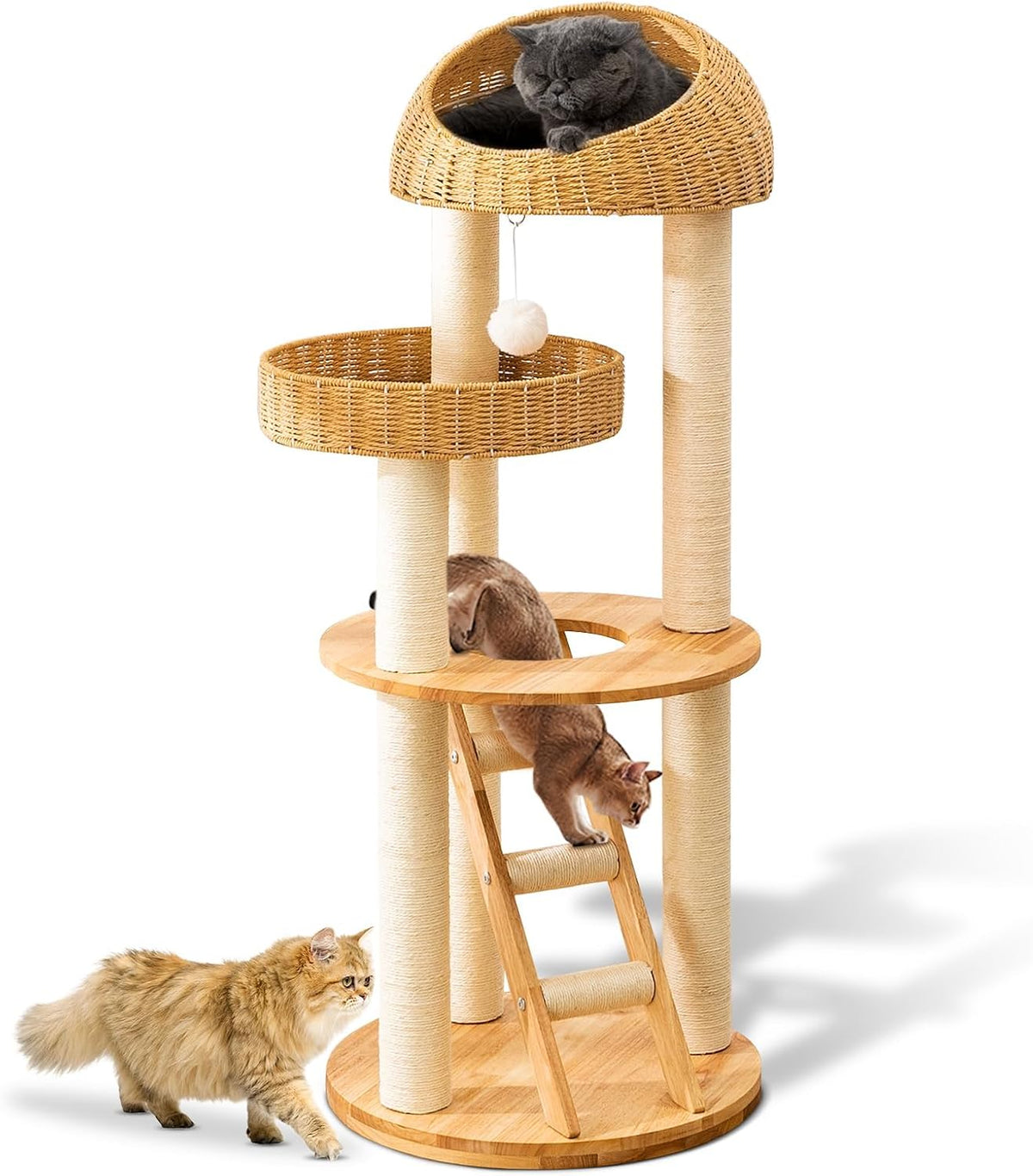 SHODMI 54" Modern Cat Tree Tower for Indoor Cats - DC999