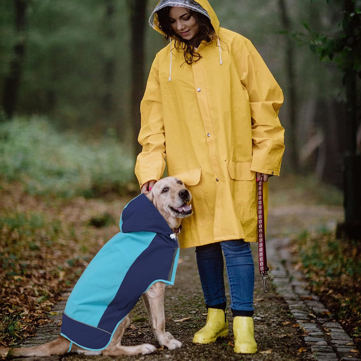 Hooded Dog Raincoat, Reflective Large Dog Rain Poncho - 3X-Large / Blue - image 2
