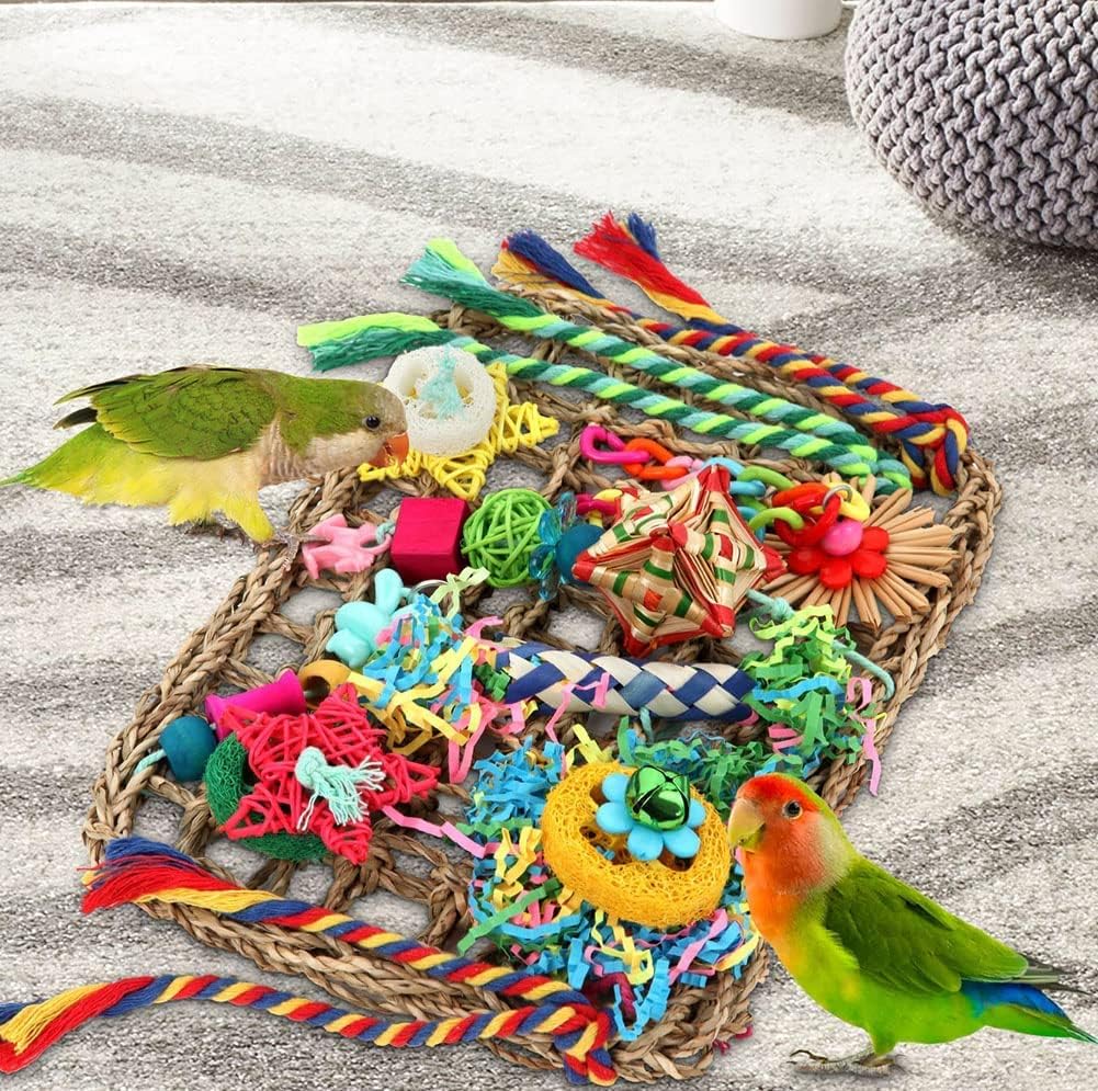 Foraging Toys for Parakeets Cockatiel Conures Lovebirds - image 3