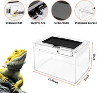 Mini Reptile Terrarium Set - 11.8" x 7"x 6" - image 3
