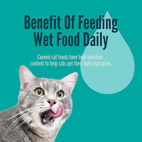 A Strong Heart Canned Wet Cat Food, Chicken & Salmon Dinner in Gravy - 5.5 oz Cans (Pack of 24), Made in The USA with Real Chicken & Salmon