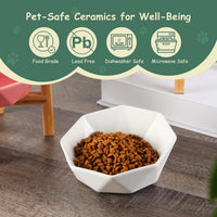 Ceramic Tilted Raised Cat Bowl - Blue with stand - image 4