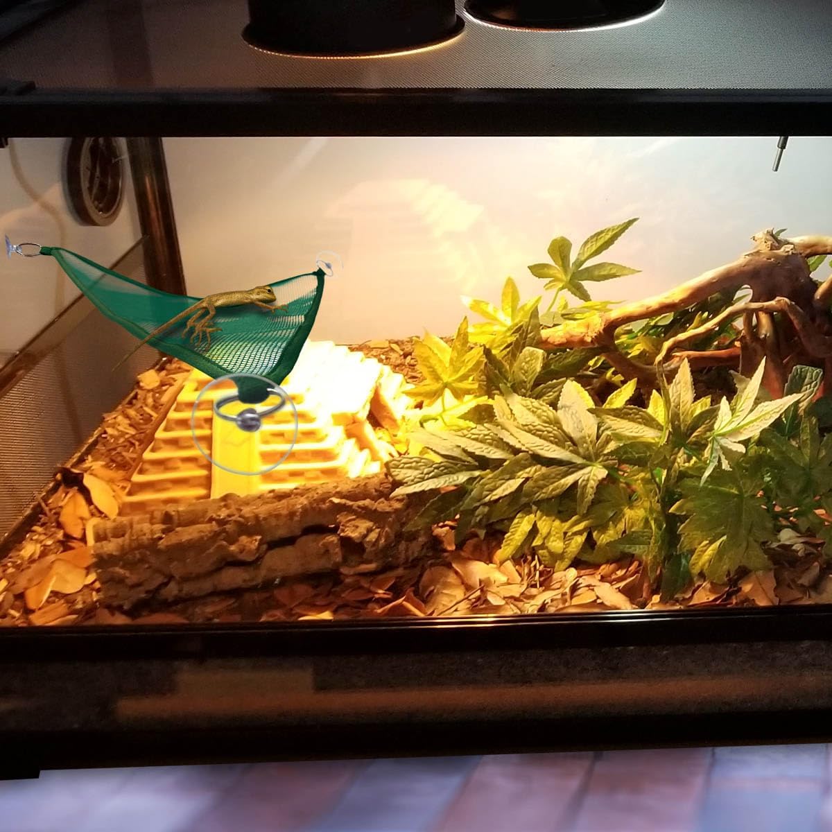 2 Pcs Bearded Dragon Lizard Hammock, Geckos Hammock - Green - image 4