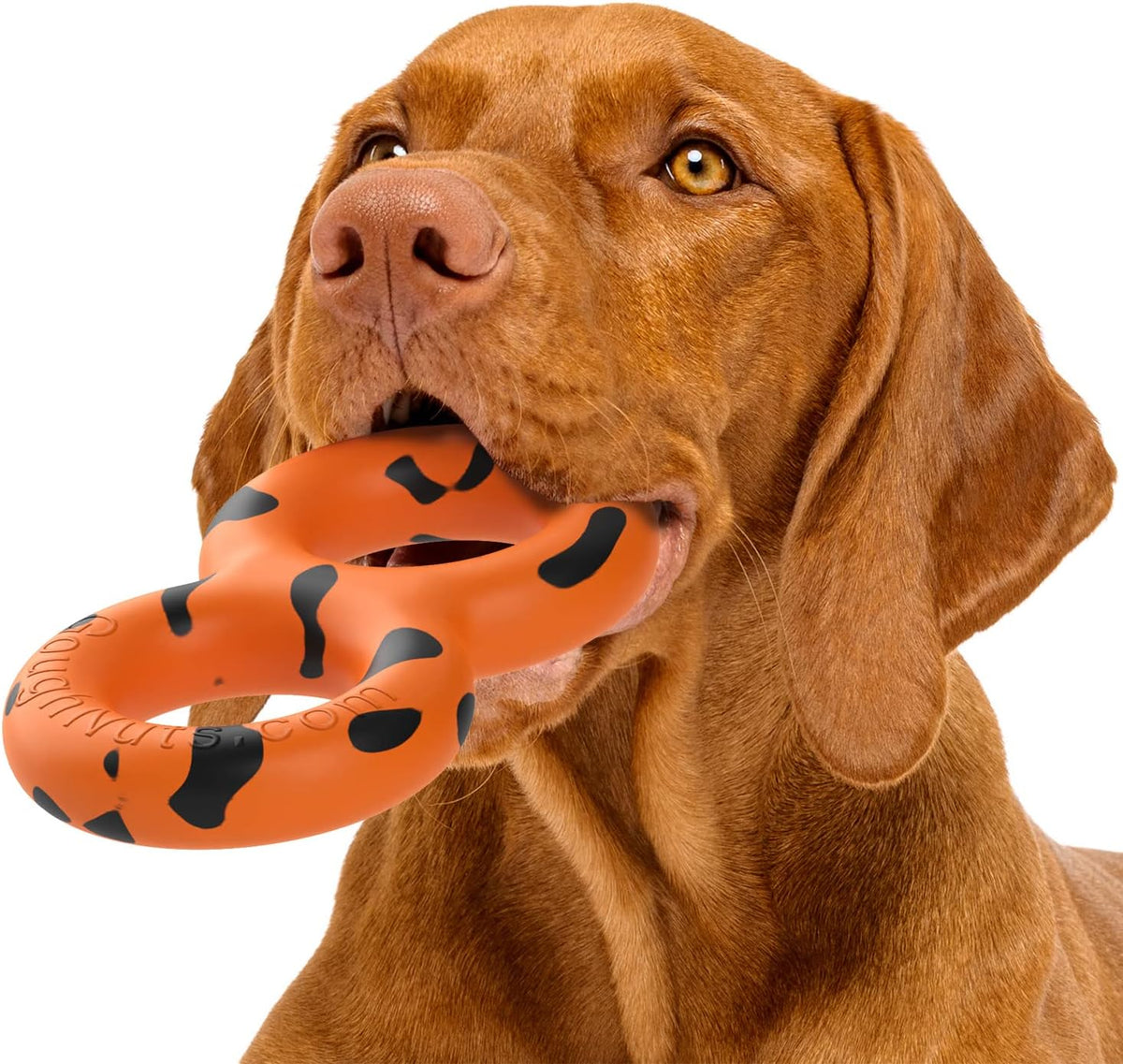 Goughnuts, Dog Toys for Aggressive Chewers - Medium (30-70 lb) (Original Size) / Orange