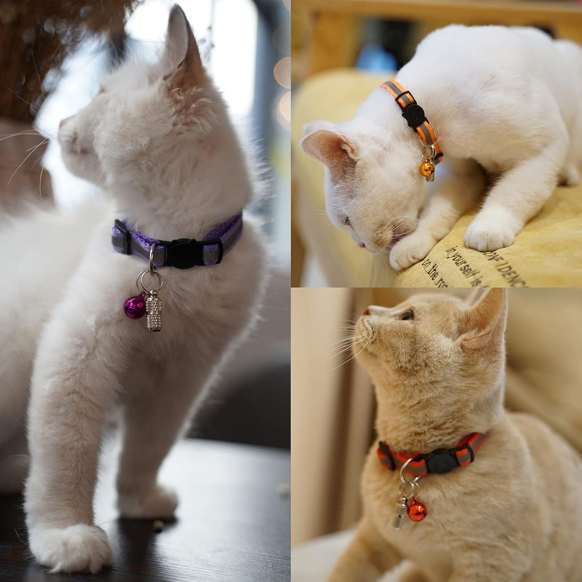 12 Pack Reflective-Breakaway Cat Collars with Bells - Kitten 6''-9'' (with 2 ID Tags) - image 4