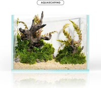 FZONE Aquarium Driftwood, Resin Rock Decor for Aquascaping Hardscape – Essentials for Fish - 03Driftwood:6.7×4.7×3.0"/3.1×2.4×1.4" - image 4