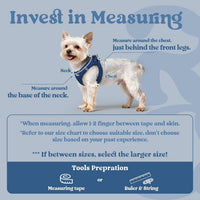 rabbitgoo Step-in Small Dog Harness - Navy Blue / S(chest:15.1"-16.5") - image 2