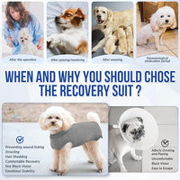 Lukovee Recovery Suit for Dogs, Onesie Surgery Recovery Suit for Female Male Dogs, Abdominal Wounds Cone E-Collar Alternative Prevent Licking Spay Recovery Suit (Grey,Large)