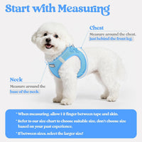 rabbitgoo Dog Harness Small Sized and Leash Set - Blue / M (chest: 16 - 18.5") - image 2