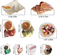 SINKOO 17PCS Hermit Crab Shells - image 3