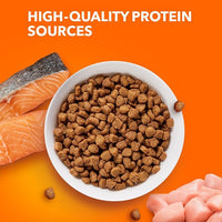 IAMS Proactive Health Adult Healthy Dry Cat Food with Real Salmon, 16 lb. Bag