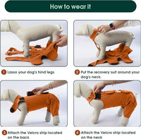 Kuoser Dog Recovery Suit for Back Legs & Thigh Wounds - Brown XL