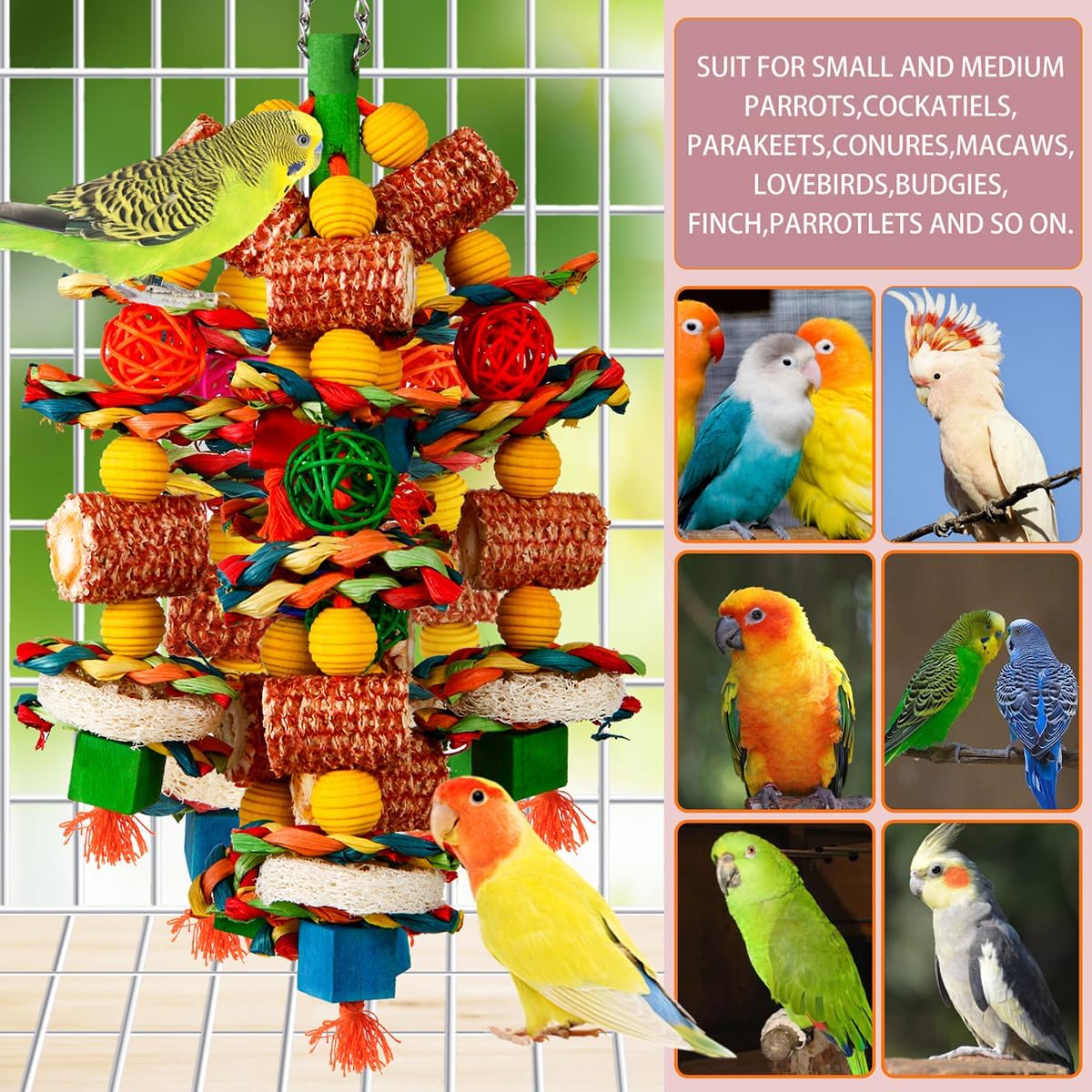 Bird Toys, Natural Corn Cob and Loofah Slices for Large Parrots - Colorful - image 4