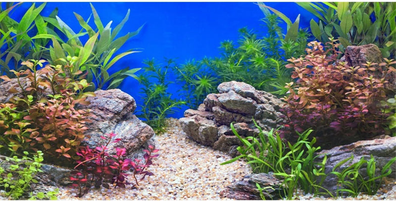 AWERT 30x18 in Aquatic Plant Fish Tank Background Stone Aquarium - 60x24in/150x60cm
