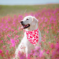 Halloween Dog Bandanas, L - X-Large / Valentine - image 2