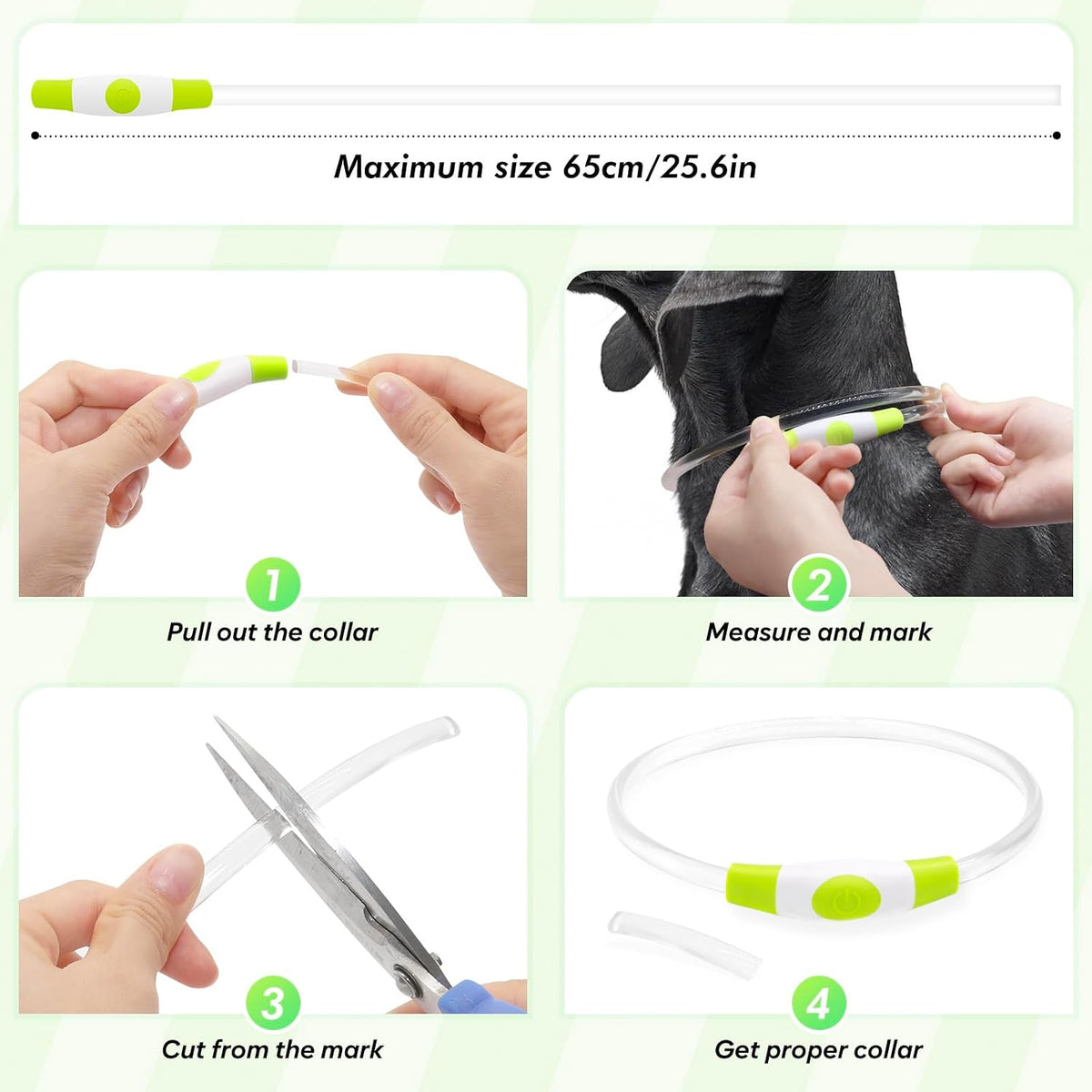 Light Up Dog Collar – Essentials for Dogs - Green (70cm) - image 4