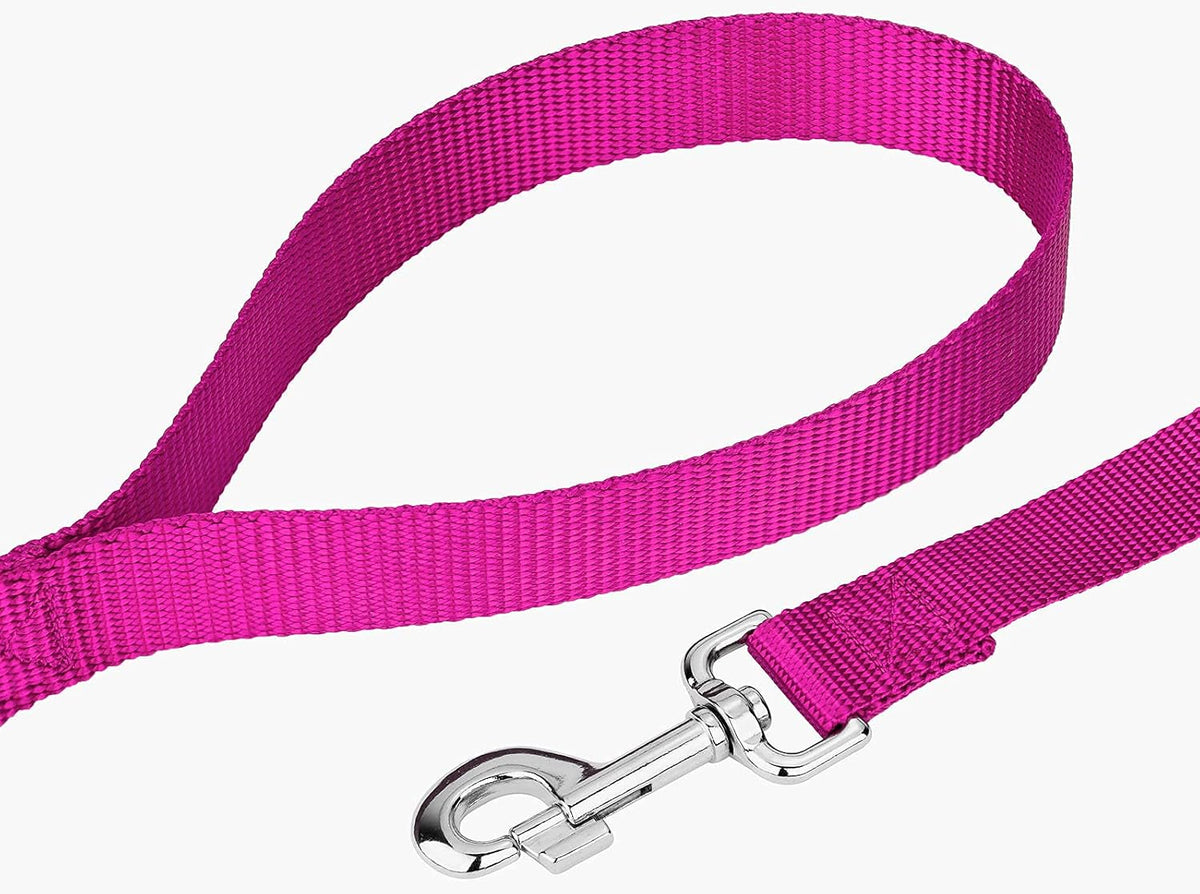 Country Brook Petz, Everyday Nylon Dog Leash - Fuchsia / 6 Foot X 1 Inch Wide (Pack of 1) - image 4