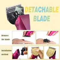 3Pack 5 in 1 Blades Dog Grooming Blade Compatible with Wahl Bravura - GOLD/1PCS - image 2