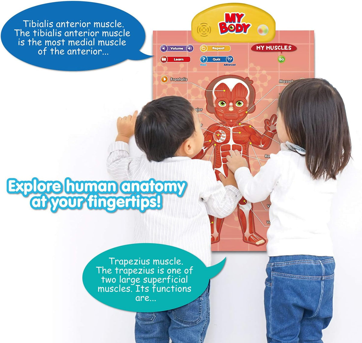BEST LEARNING i-Poster My USA - My Body - image 3