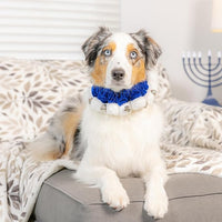 Huxley & Kent Ruff Pet Scrunchy | Hanukkah (Medium) | Festive Christmas/Holiday Neckwear for Dogs/Cats | Fun Stretchable Costume Accessory | Soft Collar with Bells
