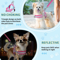 Lukovee Small Dog Harness and Leash Set, No Pull Soft Padded, XS - Fuchsia - with Stripe / XS ( Chest 14'' ~ 18'') - image 2