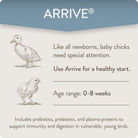 Arrive, Daily Probiotic & Prebiotic Poultry Supplement for Young Chickens 0-8 Weeks Old, 8 oz