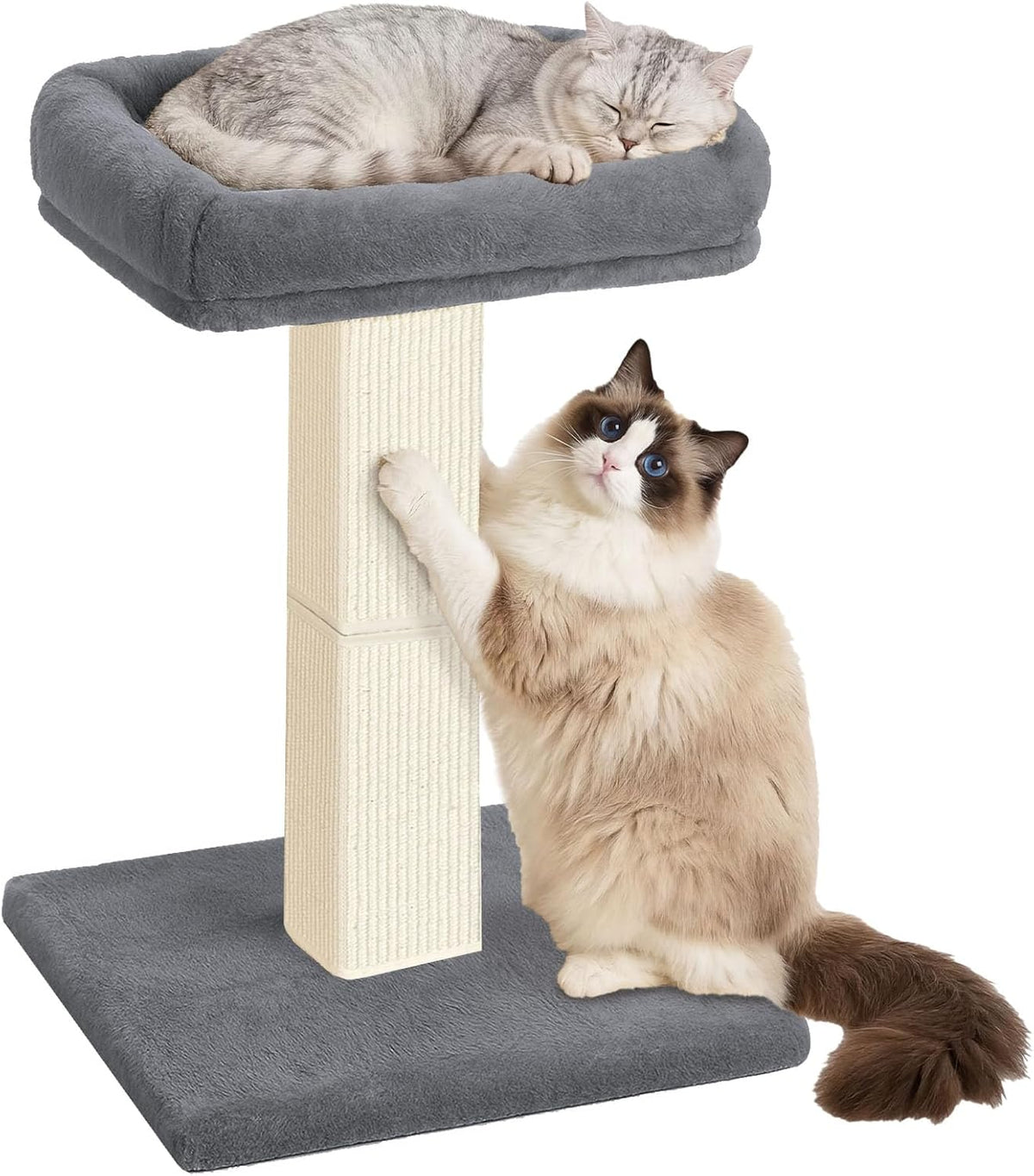 Cat Scratching Post for Indoor Cats - Grey / Scratcher with Bed