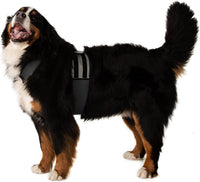 CoolerDog Dog Cooling Vest & Cooling Collar - XL - image 4
