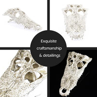 Animal Skull Fish Aquarium Hideout Decorations Cave Dinosaur Reptile Ornament Halloween Décor for Terrarium Large Betta Decor Bones