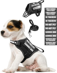 Service Dog Vest Harness and Leash Set+10 Patches - Extra-Small / Black