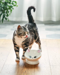 Raised Cat Food Bowl Ceramic 15° Tilted Cat Food Bowls Protect Cat's - Pink Ears / 1 - image 2