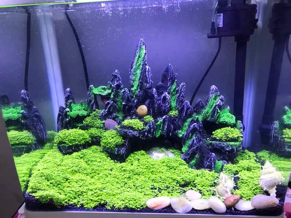 PakyKai Large Fish Tank Decorations - image 4