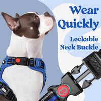 rabbitgoo Dog Harness for Large - Blue Plaid / Large - image 2