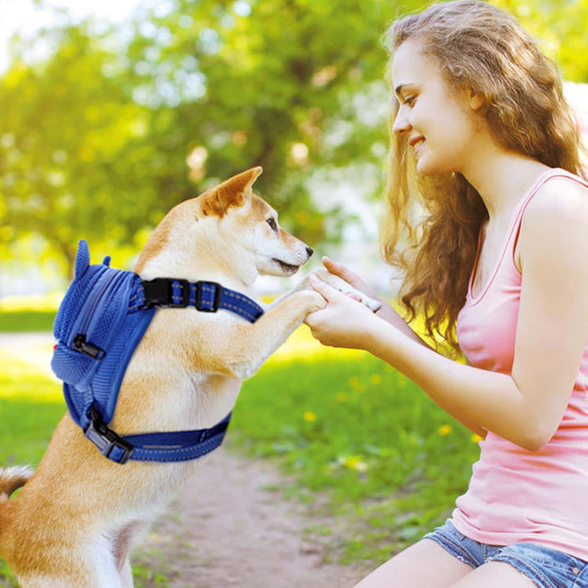 Dog Harness with Backpack - 23.6"L x 10.0"W x 10.0"H / Blue Shark - image 4
