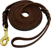 LWBMG Long Leather Dog Leash 10ft, Long Line Pet Leashes - 10ftx1/2'' / Brown