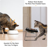 Elevated Cat Food Bowl for Indoor Cats - 2 Bowls / Black - image 2