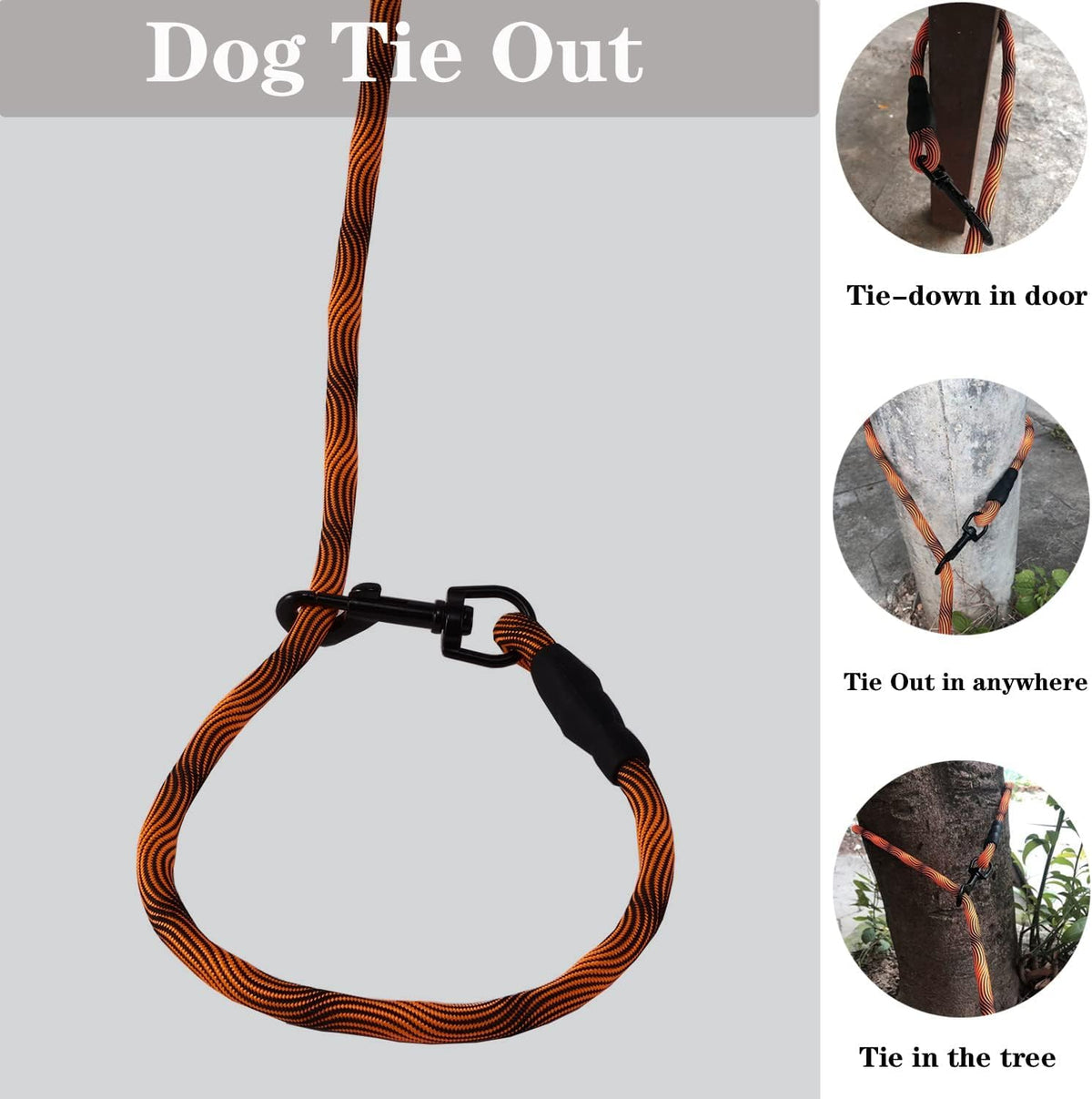 Long Dog Leash Tie-Out Check Cord - Orange / 20FT - image 2