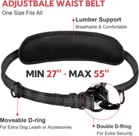 Hands Free Dog Leash for Two Dogs Walking, Running – Essentials for Dogs - Black/Pink / Large - image 2