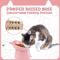 3 Pcs Raised Cat Bowl 15° Elevated Cat Food Bowl Tilted Cats Bowls - Fashion - image 2