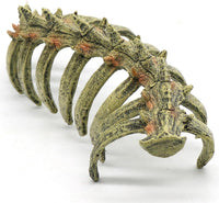 relaqcc Aquarium Skull Animal Skeletons