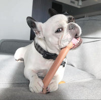 Nylabone Power Chew Original Bone Dog Chew Toys - Bacon / Large - image 2