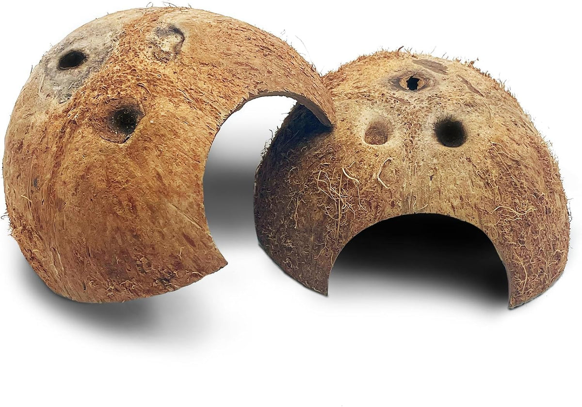 PINVNBY 2 PCS Natural Coconut Reptile Hideouts Lizard Coco Hut Hermit - Natural Surface / 2 PCS