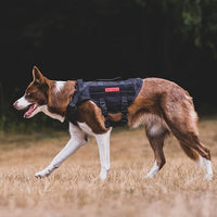 OneTigris No Pull Dog Harness for Small Dog, Mesh Design Breathable Military Dog Molle Vests with Handles, Service Dog Vest Harness for Walking Hiking Training