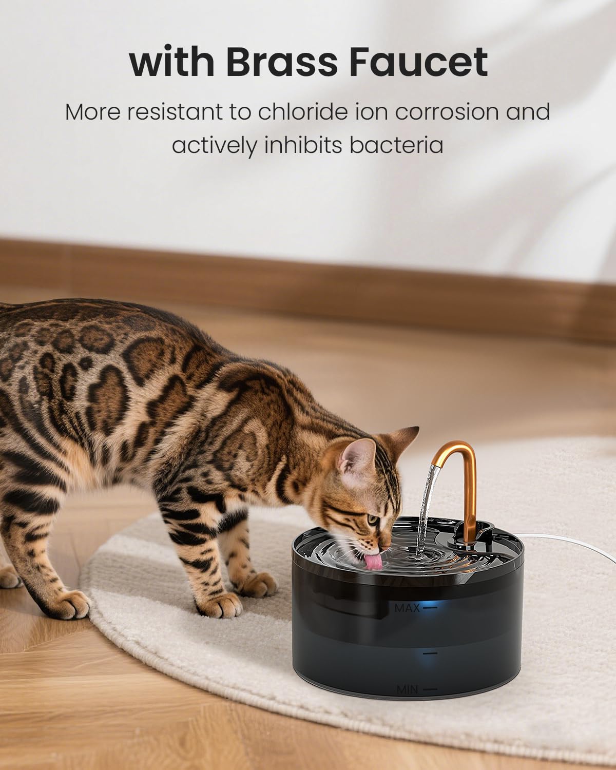 Cat Water Fountain with 3-Pack Replaceable Filters - Cat fountain + 3 Filters+ 3 Sponges - image 2