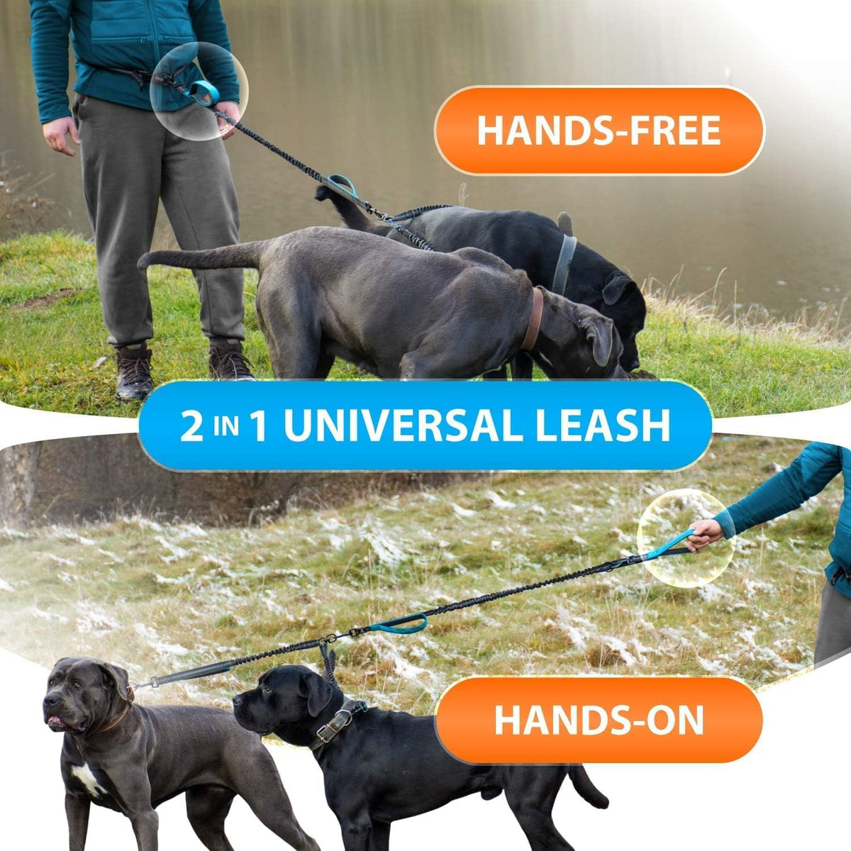 Active Pack Hands Free 2 Dogs Leash Medium & Large - Orange / 2 dogs M/L - image 3