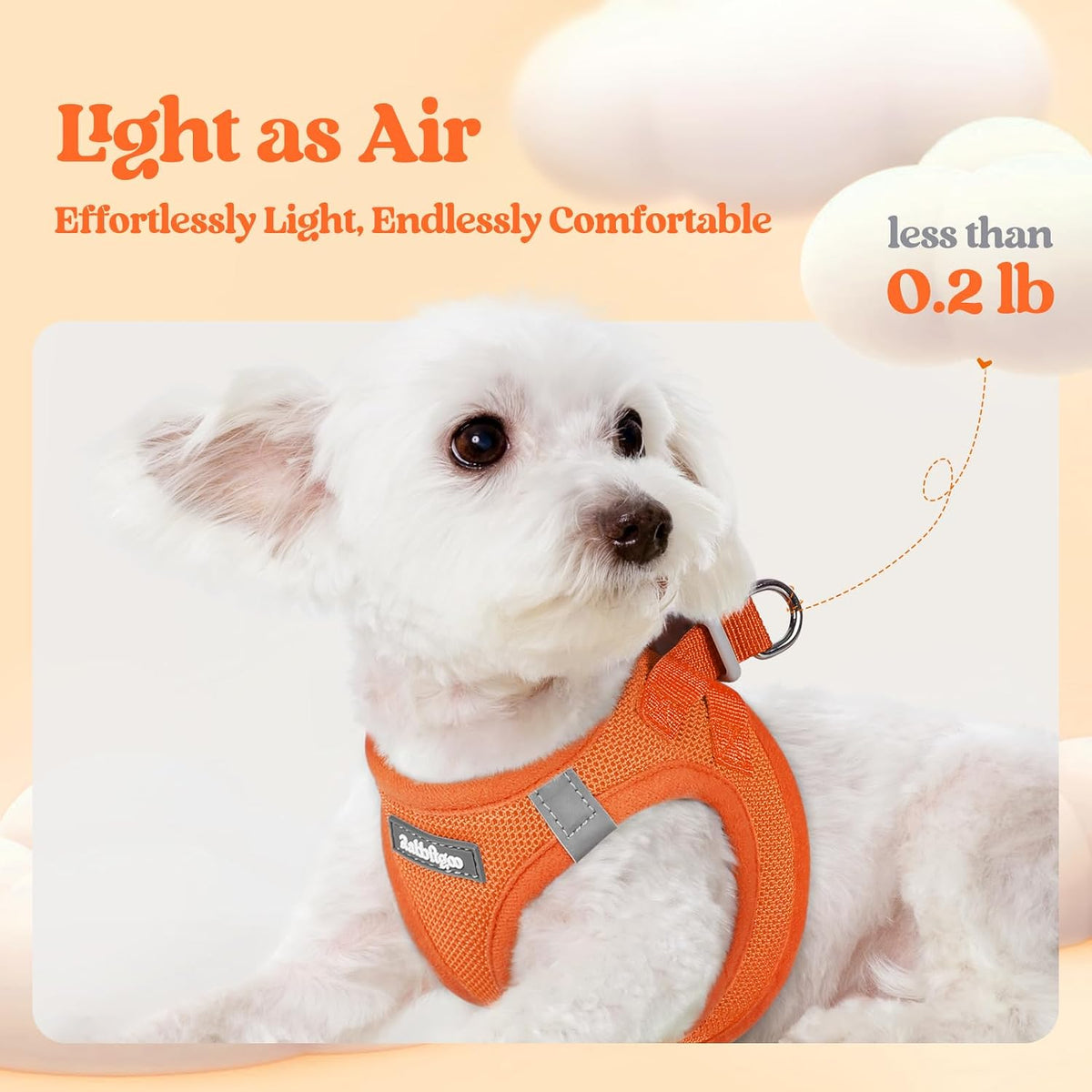 rabbitgoo Dog Harness Small Sized and Leash Set - Orange / L (chest: 18.2 - 20.5") - image 3