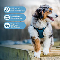 Voyager Step-in Lock Dog Harness, Pink - Harness (Turquoise/Black Trim) / XL (Chest: 23 - 28") - image 3