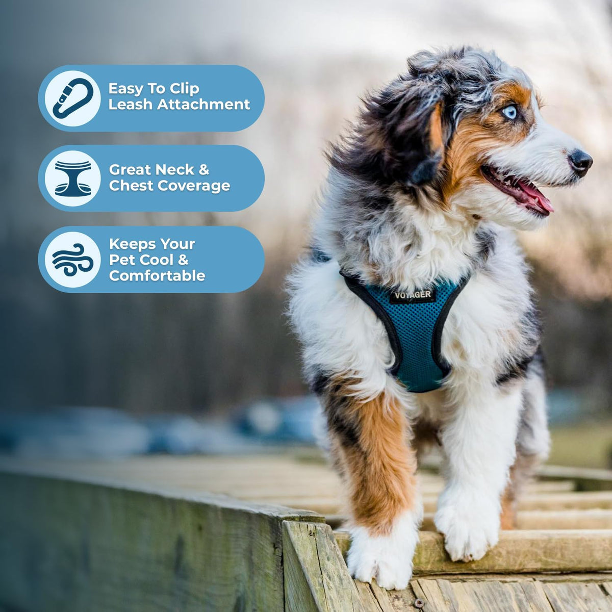 Voyager Step-in Lock Dog Harness, Pink - Harness (Turquoise/Black Trim) / XL (Chest: 23 - 28") - image 3
