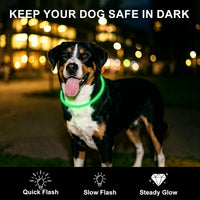 2-Pack LED Dog Collar, Light Up Dog Collars - Green&Blue - image 2